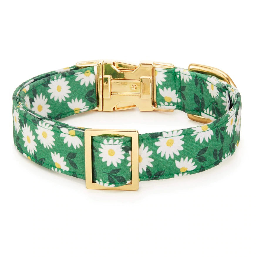디자인 칼라 상세 이미지 2