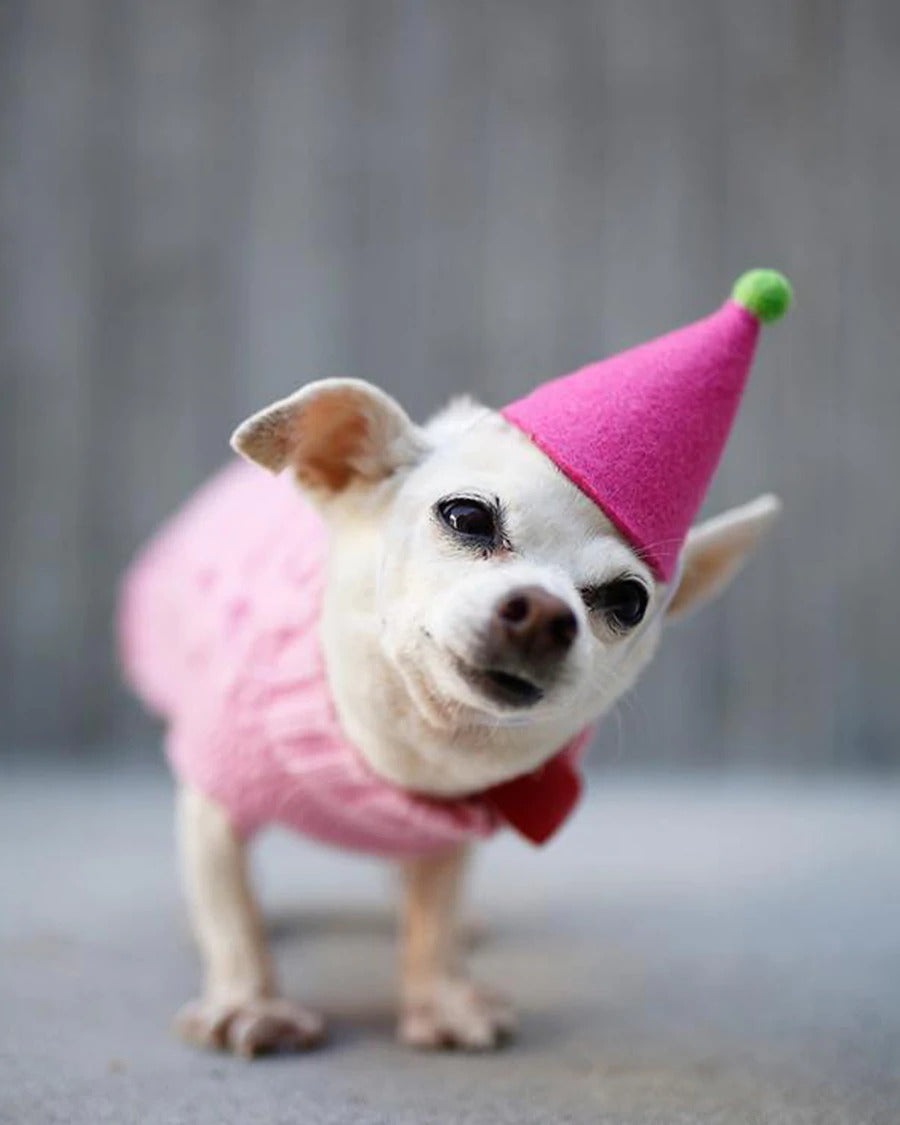 파티 모자 상세 이미지 3