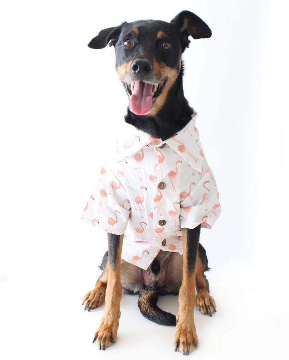 버튼업 셔츠 상세 이미지 2